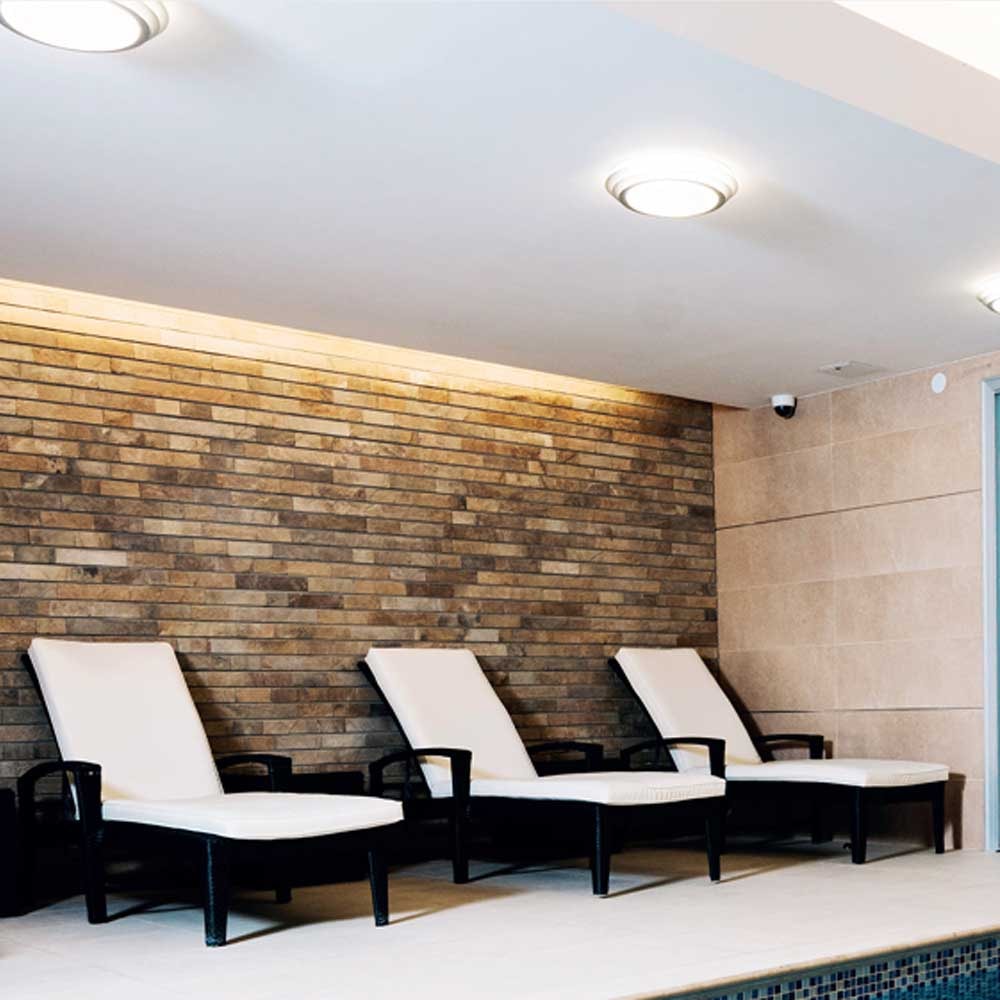 image_76960598-9973-4179-80e7-c1cca74ad2e5