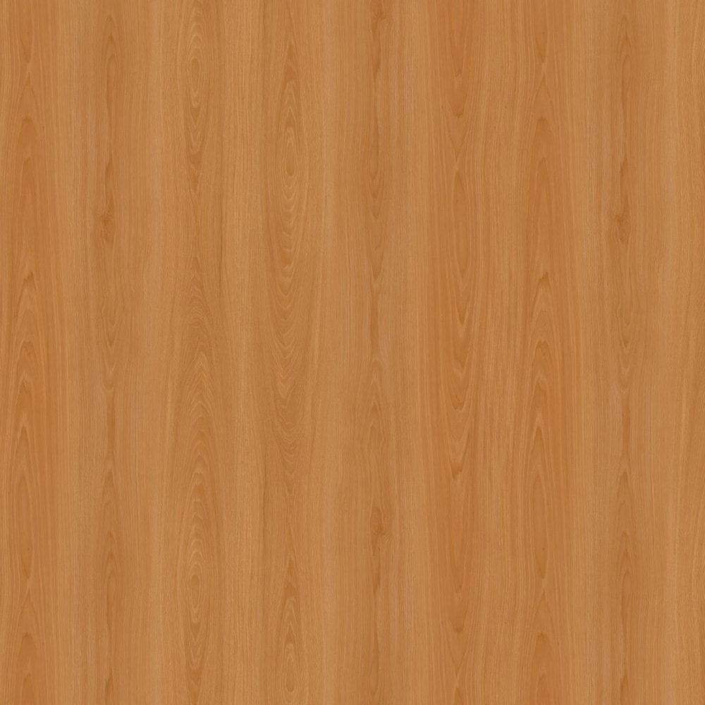 image_ce326bae-ccbe-480e-a0a8-a49bbeaeb1fc