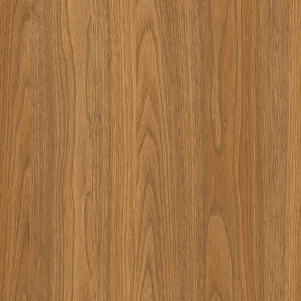 image_ca1aa797-7b7e-460d-90f0-e5729ceb6e36