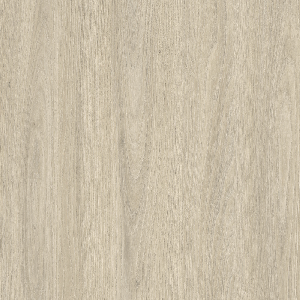 image_2fd95f01-8ed6-40f2-887d-7a7881b40b6c