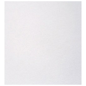 Forro de gesso lay-in EspaçoForro E-Clean branco 8 x 625 x 625 mm