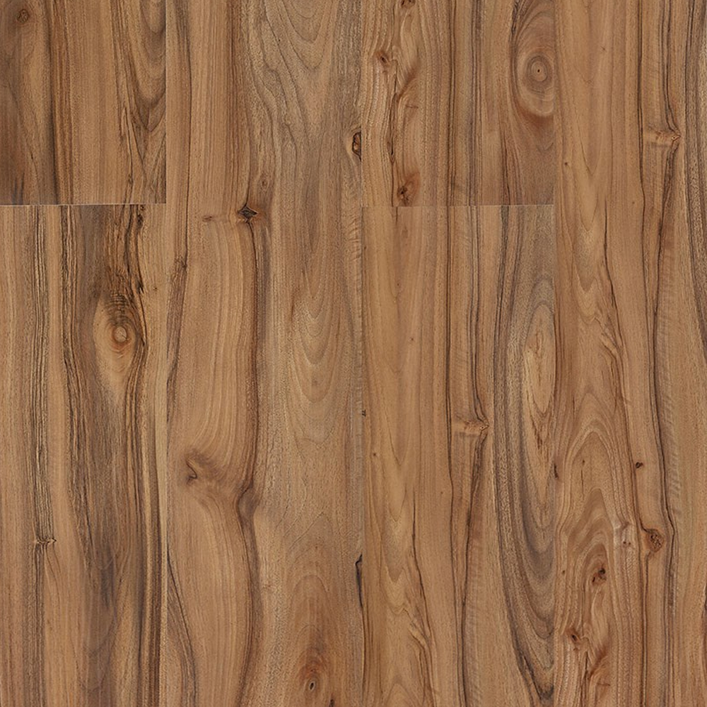 image_474a0da3-36a5-4dcc-a086-ed58ad047b02