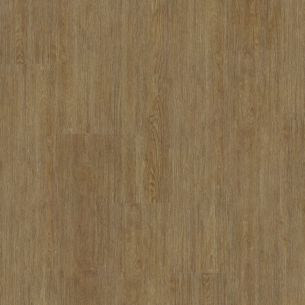 image_cb60f2ef-278c-4450-be02-51c08481e712