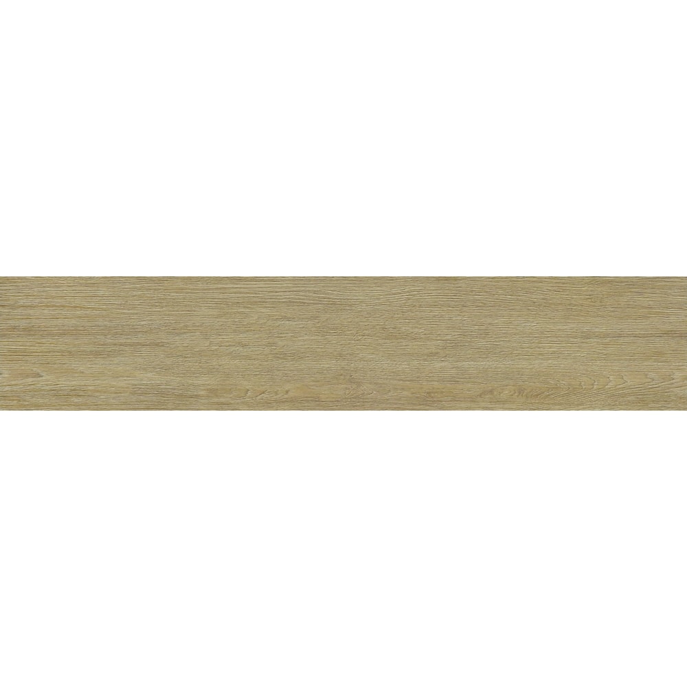 image_d223903f-ab91-402d-b1e2-3941e8375e82