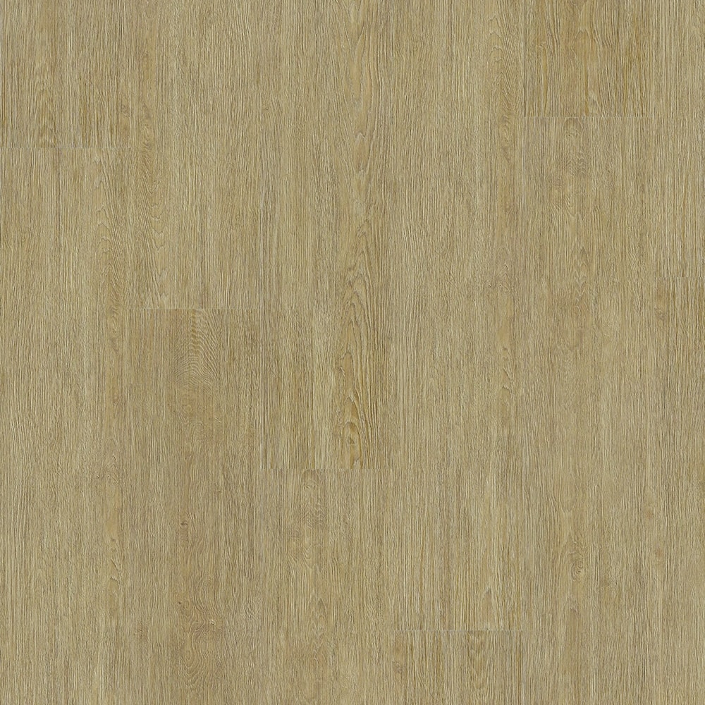 image_5eb588c0-28aa-4fb2-a7b6-49f49ad3a643