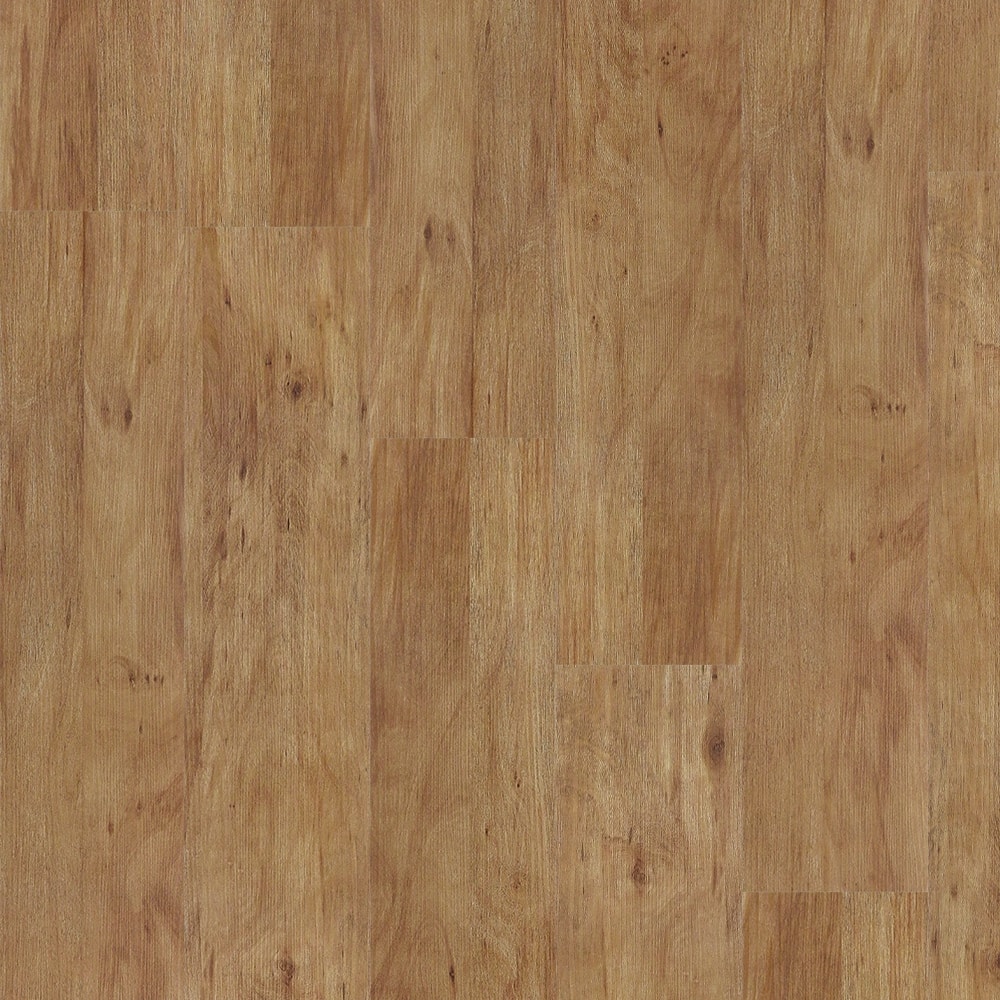 image_591f68a1-747c-457a-b628-34d35c59f557