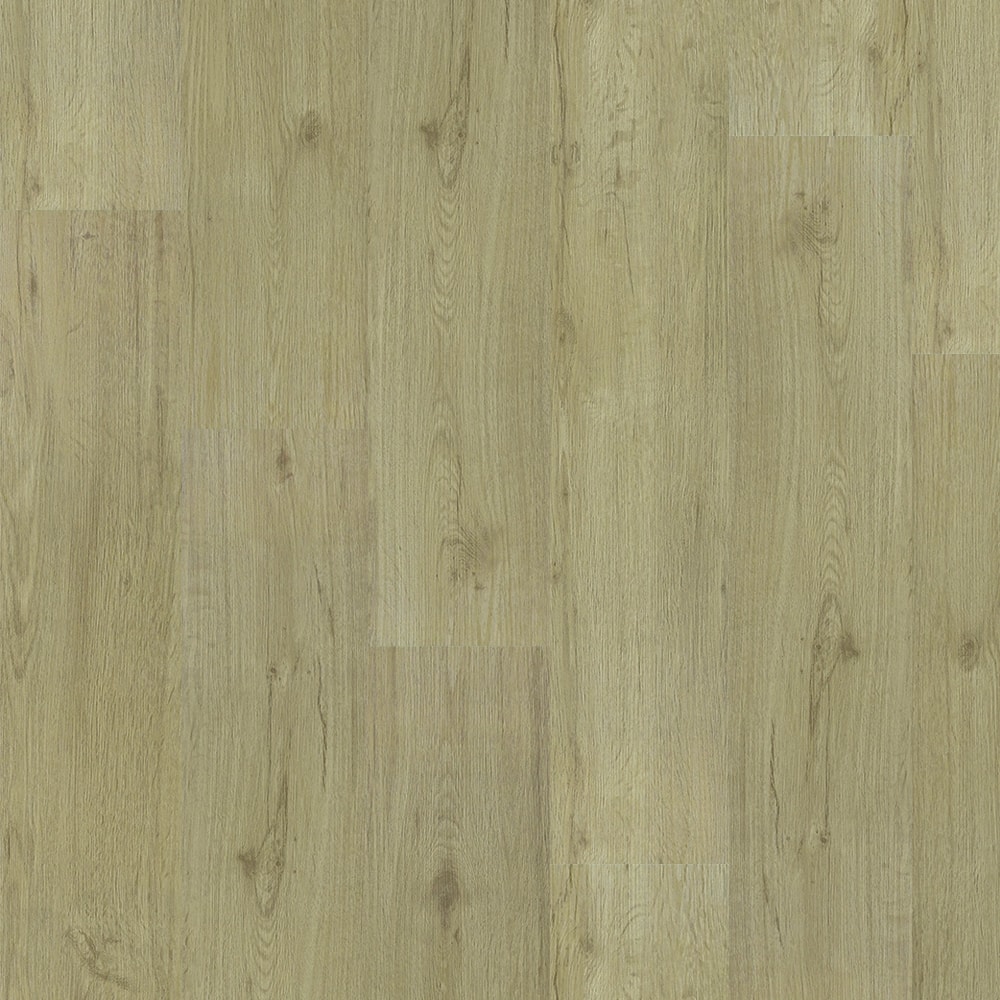 image_c3c92127-d3d2-4c96-99cd-50834962732e