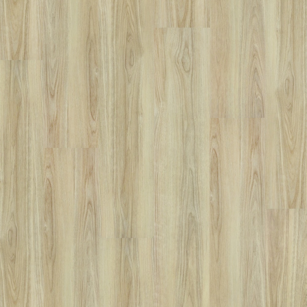 image_69e6ceb5-9d5c-4c6f-99b4-bf041ab0bac7