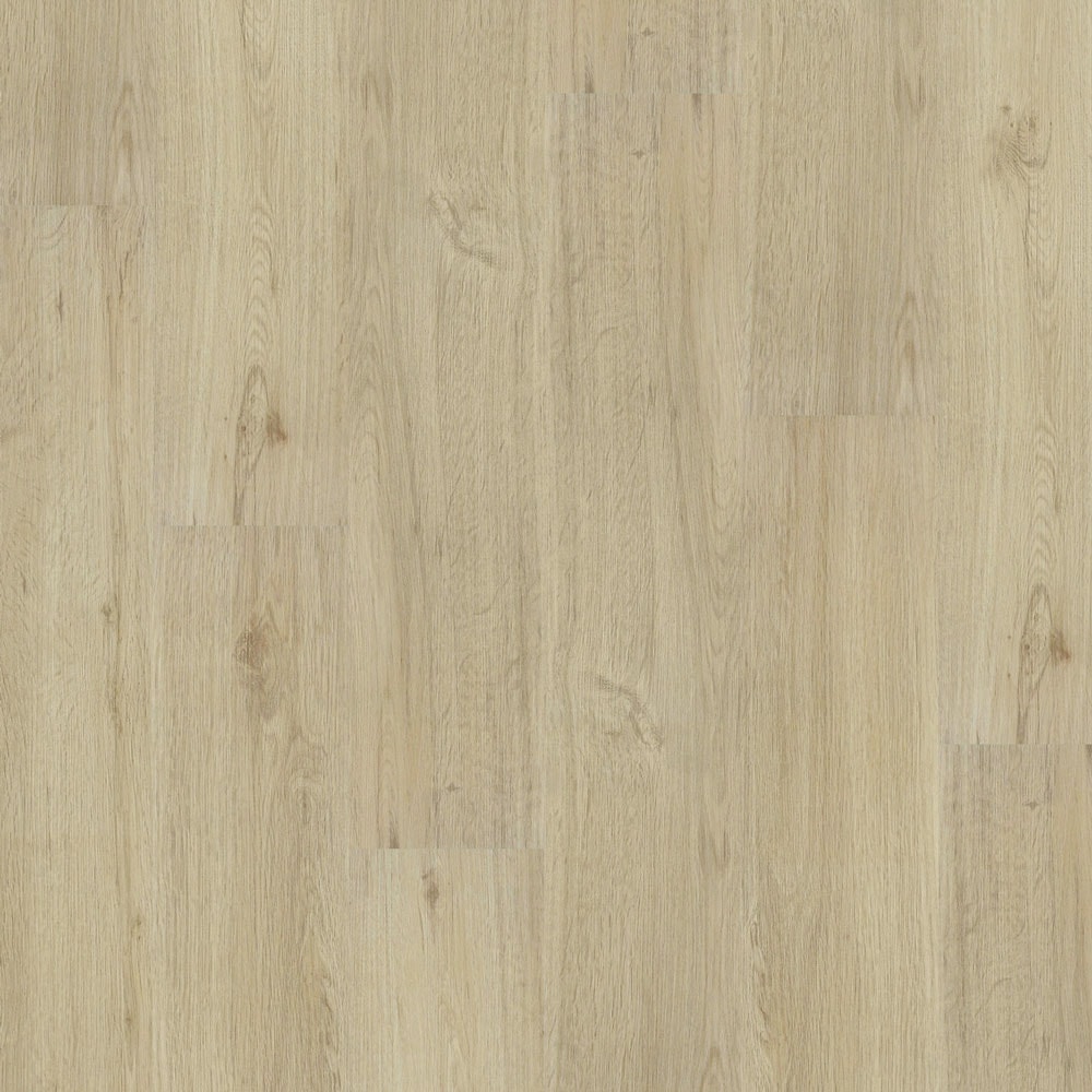 image_e3095a9f-ada0-4137-b012-5ffd44cf151b