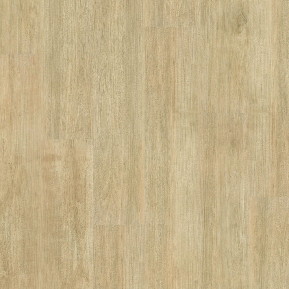 image_f37de25e-549c-4e0d-8294-5b3a63d68572