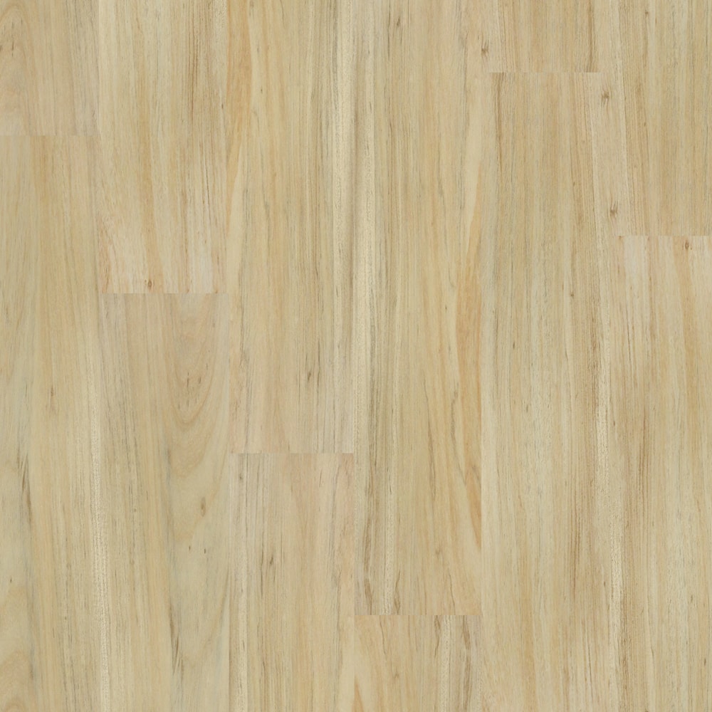 image_bddef1c3-096b-477c-9dff-6f17a897a1fc