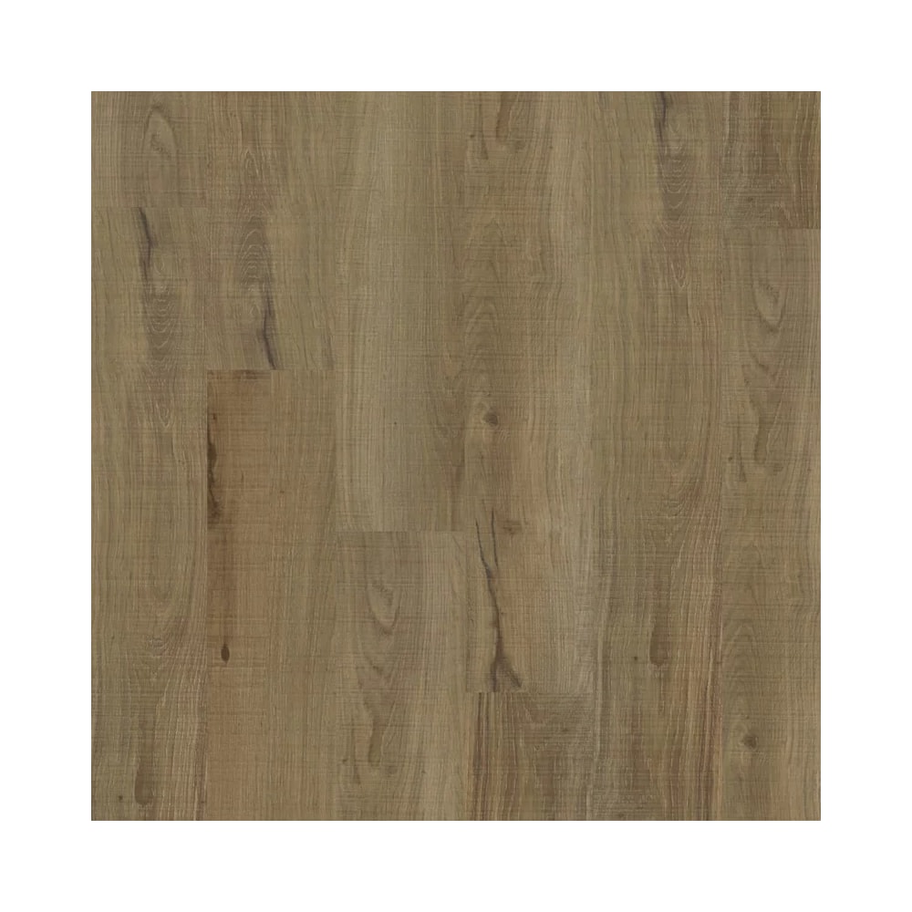 image_950ea4a1-7abd-41e8-9516-913f8d617673