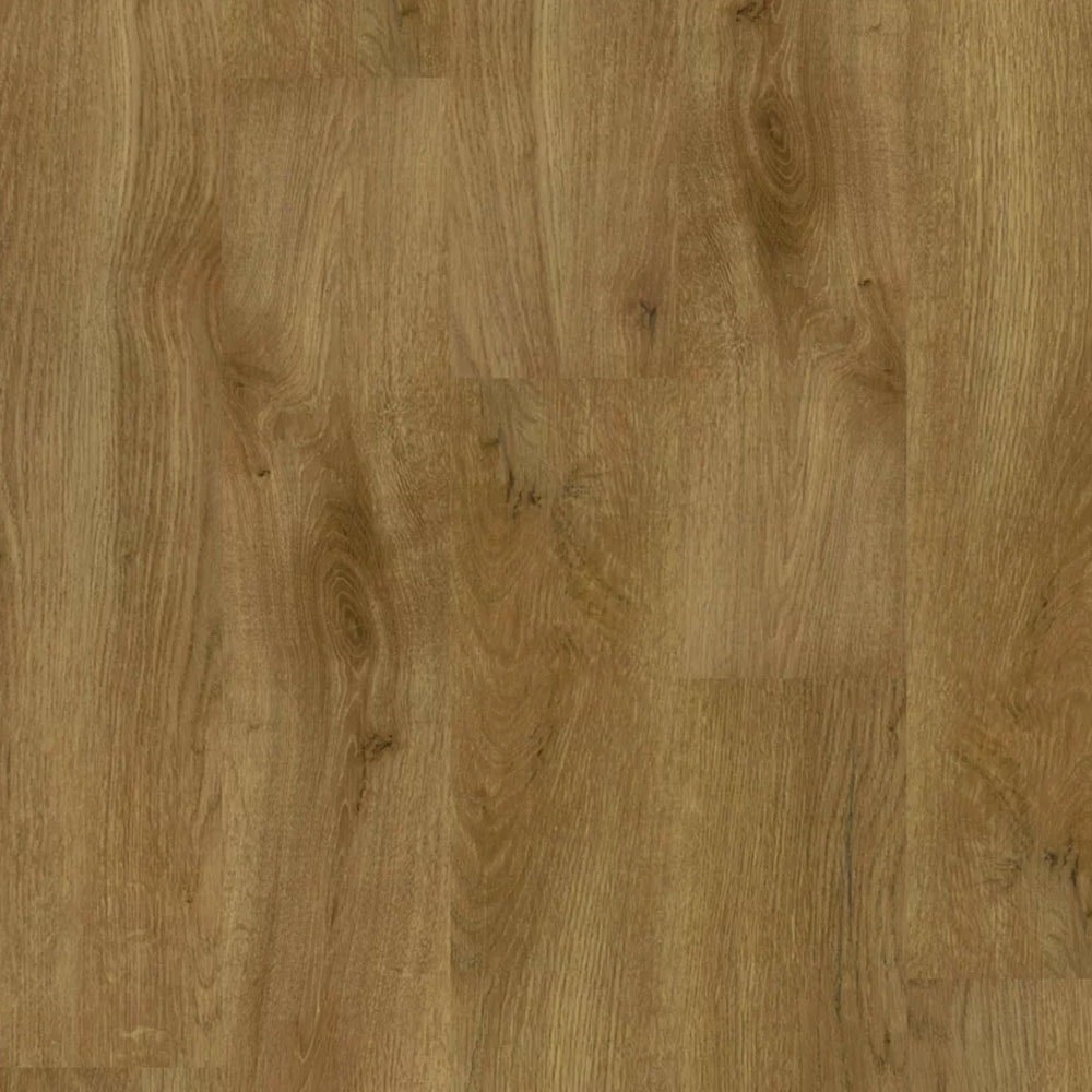 image_9036fa5b-1fd1-4158-8104-086e989f705a