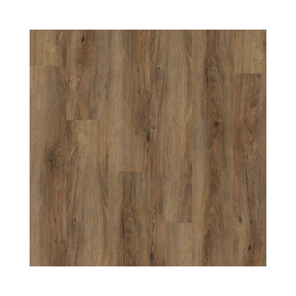 image_eb54c283-e087-427e-999e-b554654e0389