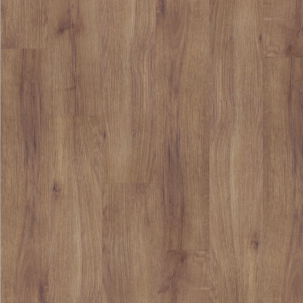 image_15c9c12c-f0c0-40ac-b490-14d38187cd32