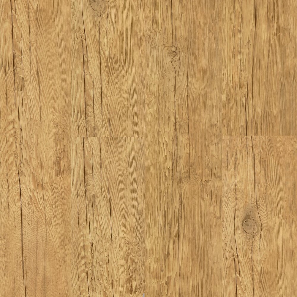 image_4d807295-9fc3-4229-8f30-c78127112cac